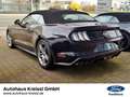 Ford Mustang Convertible GT 5.0 V8 Automatik MagneRide Burdeos - thumbnail 4