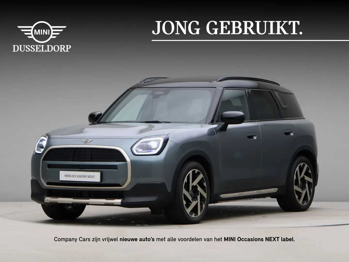 MINI Countryman E Favoured Pakket L Groen - 1