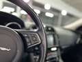Jaguar F-Pace F25t Pure AWD Panorama+Kamera+Navi+STHZ Bílá - thumbnail 28