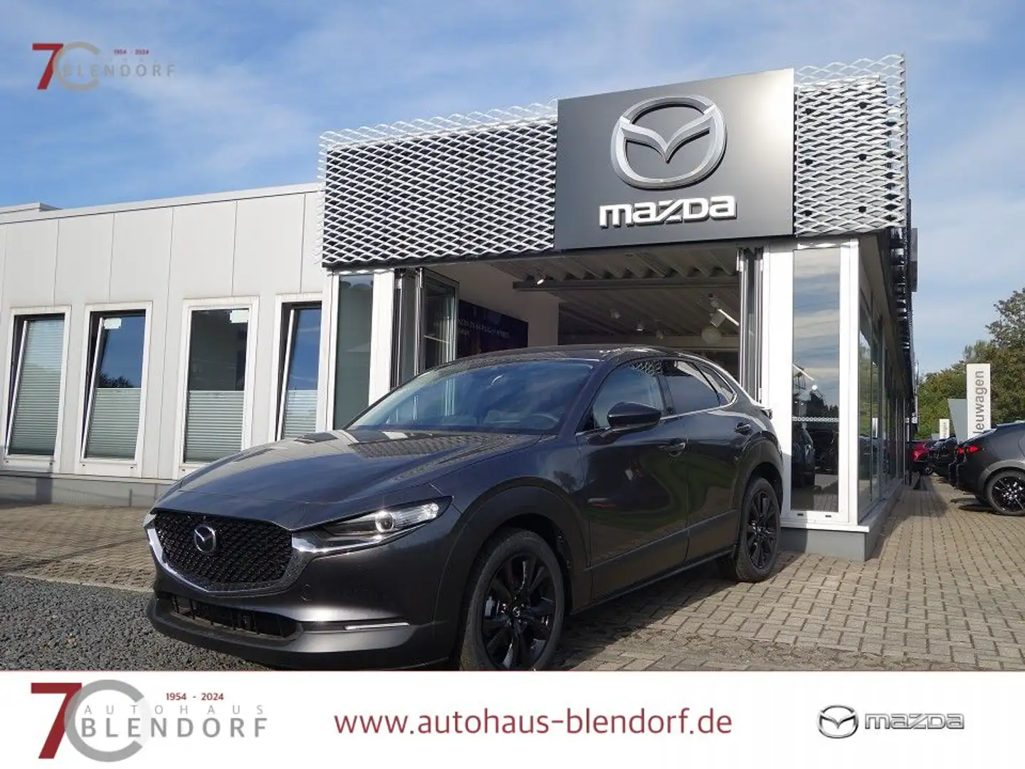 Mazda CX-30 Homura 140 Automatik Navi|Alexa|LED Grau - 1