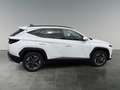 Hyundai TUCSON NX4 Comfort Line 1,6 T-GDi HEV 4WD AT t7hc2 Weiß - thumbnail 6