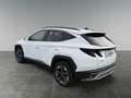 Hyundai TUCSON NX4 Comfort Line 1,6 T-GDi HEV 4WD AT t7hc2 Weiß - thumbnail 3