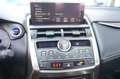 Lexus NX 300h Hybrid 4WD Premium Certificata Ufficiale Italia Grau - thumbnail 10