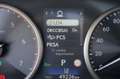 Lexus NX 300h Hybrid 4WD Premium Certificata Ufficiale Italia Grau - thumbnail 12