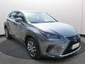 Lexus NX 300h Hybrid 4WD Premium Certificata Ufficiale Italia Grau - thumbnail 17