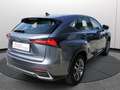 Lexus NX 300h Hybrid 4WD Premium Certificata Ufficiale Italia Grau - thumbnail 16