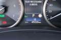 Lexus NX 300h Hybrid 4WD Premium Certificata Ufficiale Italia Grau - thumbnail 31