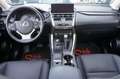 Lexus NX 300h Hybrid 4WD Premium Certificata Ufficiale Italia Grau - thumbnail 5