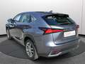 Lexus NX 300h Hybrid 4WD Premium Certificata Ufficiale Italia Grau - thumbnail 3
