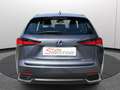 Lexus NX 300h Hybrid 4WD Premium Certificata Ufficiale Italia Grau - thumbnail 4