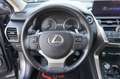 Lexus NX 300h Hybrid 4WD Premium Certificata Ufficiale Italia Grau - thumbnail 26