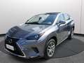 Lexus NX 300h Hybrid 4WD Premium Certificata Ufficiale Italia Grau - thumbnail 2