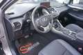 Lexus NX 300h Hybrid 4WD Premium Certificata Ufficiale Italia Grau - thumbnail 6