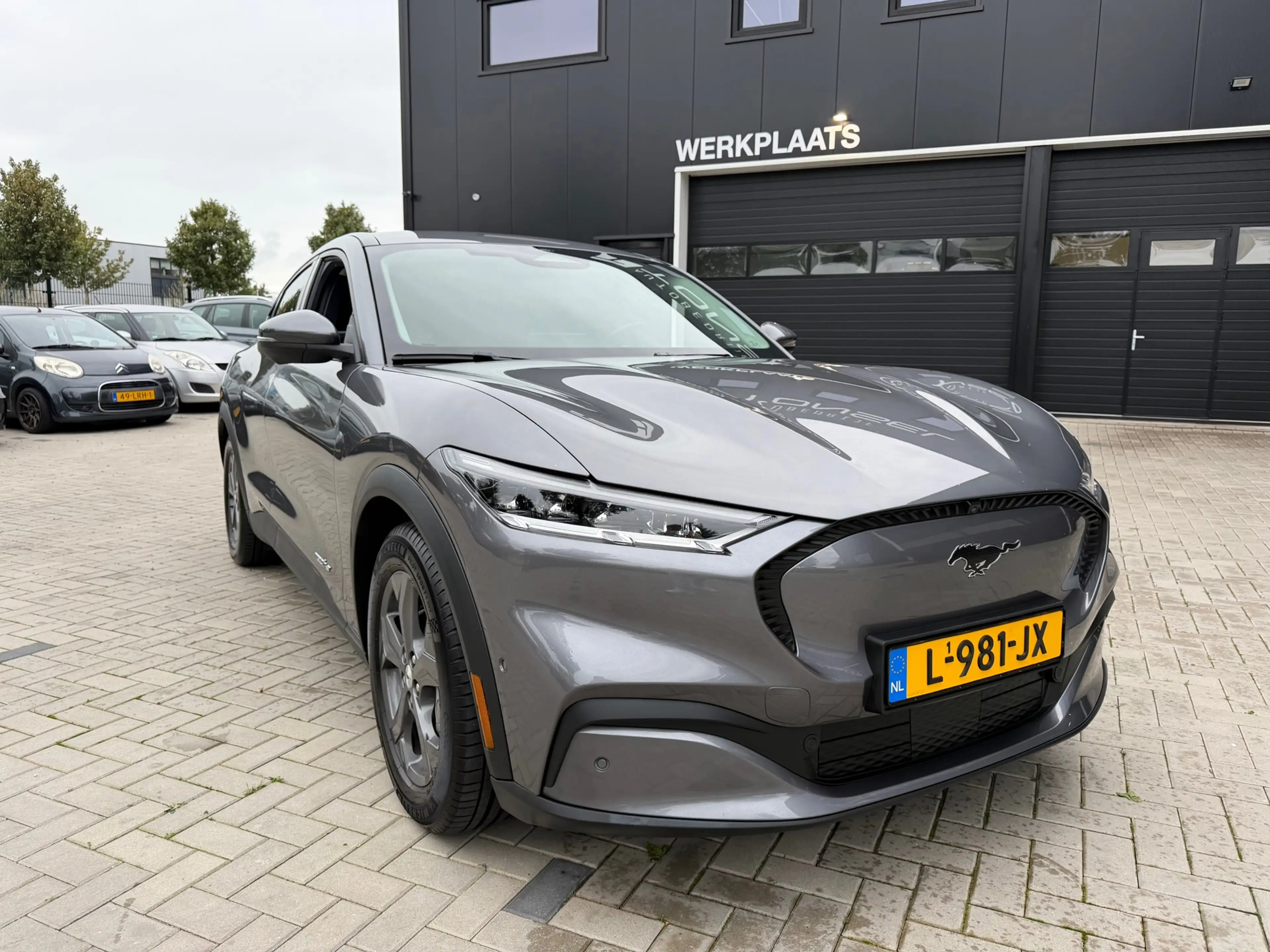 Ford Mustang Mach-E RWD 75 kWh / Trekhaak / B&O / WinterPack / Leder / — photo 5
