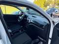 Volkswagen T-Cross 1.0 TSI R-LINE Sport ANCHE NEOPATENTATI Bianco - thumbnail 15