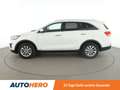 Kia Sorento 2.2 CRDi Vision 4WD *NAVI*CAM*TEMPO*SHZ*ALU* Bianco - thumbnail 3