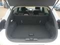 Ford Puma Titanium 1,0 EcoBoost Mild Hybrid Blanc - thumbnail 8