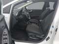 Ford Puma Titanium 1,0 EcoBoost Mild Hybrid Blanc - thumbnail 9