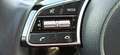 Kia Ceed SW / cee'd SW 1.5 T-GDI Automatik, DCT7 OPF Blau - thumbnail 24