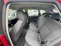 SEAT Ibiza ST Reference 1,6 TDI CR DPF Klima Rot - thumbnail 13