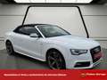 Audi A5 Cabrio S line ed 3.0 TDI 204cv multitron Weiß - thumbnail 8