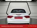 Audi A5 Cabrio S line ed 3.0 TDI 204cv multitron Weiß - thumbnail 5
