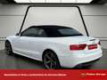 Audi A5 Cabrio S line ed 3.0 TDI 204cv multitron Weiß - thumbnail 4