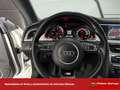 Audi A5 Cabrio S line ed 3.0 TDI 204cv multitron Weiß - thumbnail 20