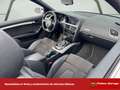 Audi A5 Cabrio S line ed 3.0 TDI 204cv multitron Weiß - thumbnail 13