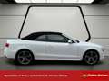 Audi A5 Cabrio S line ed 3.0 TDI 204cv multitron Weiß - thumbnail 7
