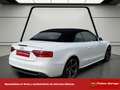 Audi A5 Cabrio S line ed 3.0 TDI 204cv multitron Weiß - thumbnail 6