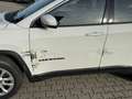 Jeep Compass 1.3 T-GDI I4 Automatik Longitude - thumbnail 16