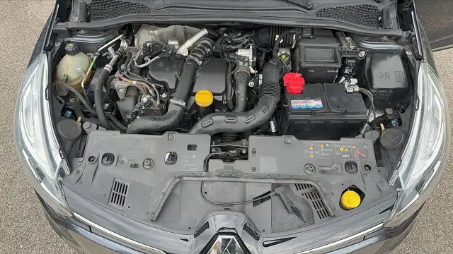 Renault Clio view 15