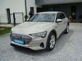 Audi e-tron 55 quattro Massage/Belüftung Garantie !! Beige - thumbnail 2