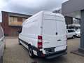 Mercedes-Benz Sprinter 313/316CDI*L2H2*Bott Regalsystem*1.Hand Bianco - thumbnail 5