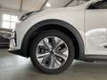 Kia Niro e-Niro Spirit LED Ambiente Wärmep. JBL Weiß - thumbnail 10