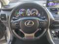 Lexus NX 300h NX 300H Hybrid Executive Gris - thumbnail 9