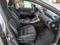Lexus NX 300h NX 300H Hybrid Executive siva - thumbnail 8