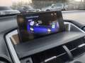 Lexus NX 300h NX 300H Hybrid Executive Сірий - thumbnail 13