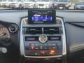 Lexus NX 300h NX 300H Hybrid Executive Gris - thumbnail 11