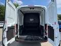 Ford Transit Transit 2T 350L Multi Use (NIEUWE wagen met dagin Blanc - thumbnail 17