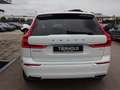 Volvo XC60 T6 Inscription Expr. Plug-In AHK PANO ACC 360° Weiß - thumbnail 6