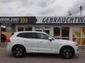 Volvo XC60 T6 Inscription Expr. Plug-In AHK PANO ACC 360° Weiß - thumbnail 8