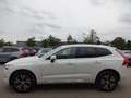Volvo XC60 T6 Inscription Expr. Plug-In AHK PANO ACC 360° Weiß - thumbnail 4