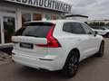 Volvo XC60 T6 Inscription Expr. Plug-In AHK PANO ACC 360° Weiß - thumbnail 7