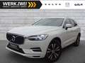 Volvo XC60 T6 Inscription Expr. Plug-In AHK PANO ACC 360° Weiß - thumbnail 1