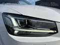 Audi Q2 35 TDI 150ch  S line S tronic 7 Blanc - thumbnail 10