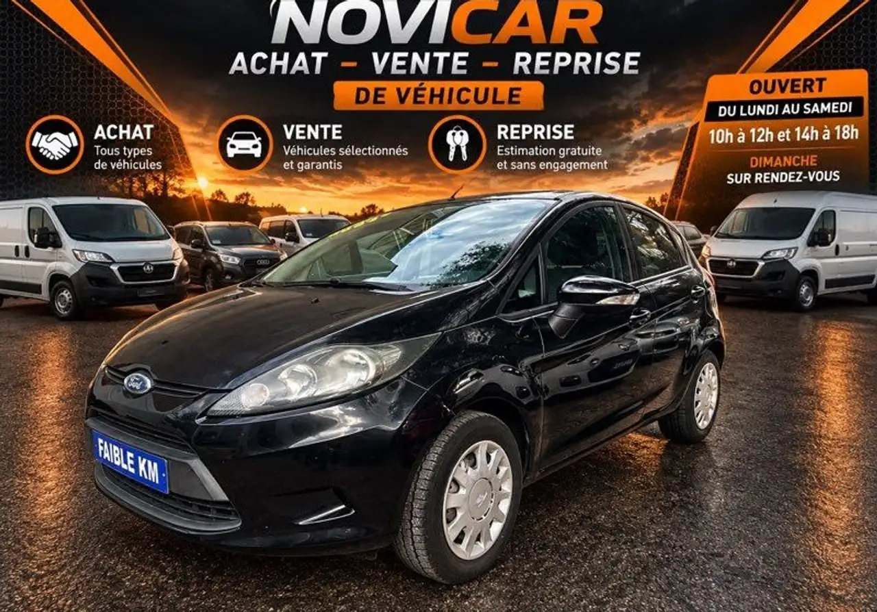 Ford Fiesta 5 portes