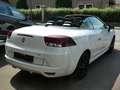 Renault Megane TCE GT-Line Sport Cabrio Blanc - thumbnail 3