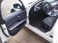 BMW 325 325i Aut./Euro 4 / Klimaanlage / Tüv 01-2025 Beyaz - thumbnail 10